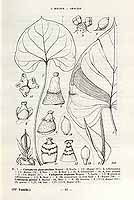  no thumbnail available