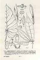  no thumbnail available