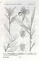  no thumbnail available