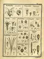  no thumbnail available