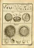  no thumbnail available