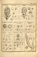  no thumbnail available