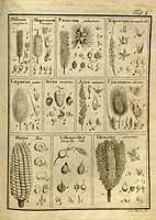  no thumbnail available