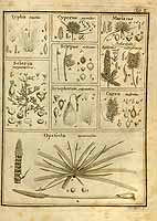  no thumbnail available