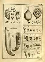  no thumbnail available