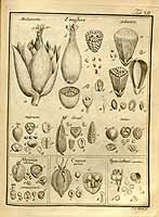  no thumbnail available