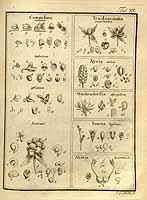  no thumbnail available