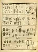  no thumbnail available