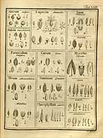  no thumbnail available