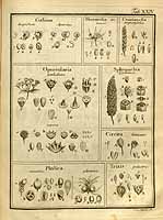  no thumbnail available