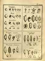  no thumbnail available