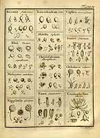  no thumbnail available