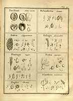  no thumbnail available