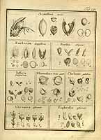  no thumbnail available