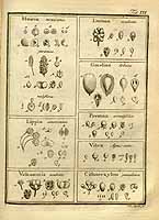  no thumbnail available