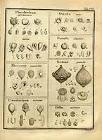  no thumbnail available