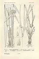  no thumbnail available