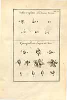  no thumbnail available