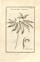  no thumbnail available