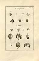  no thumbnail available