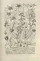  no thumbnail available