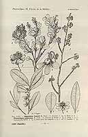  no thumbnail available