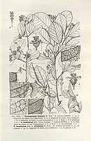  no thumbnail available