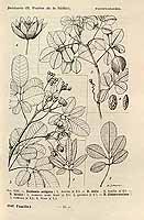  no thumbnail available