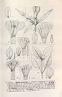  no thumbnail available