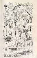  no thumbnail available