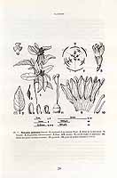  no thumbnail available