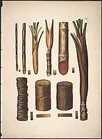  no thumbnail available