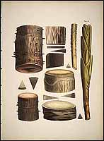  no thumbnail available