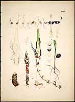  no thumbnail available