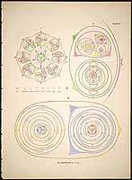  no thumbnail available