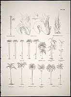  no thumbnail available