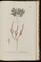  no thumbnail available