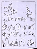  no thumbnail available