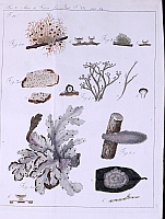  no thumbnail available