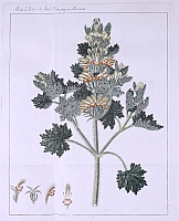  no thumbnail available