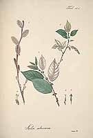  no thumbnail available