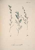  no thumbnail available