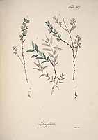  no thumbnail available