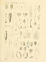  no thumbnail available