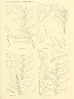  no thumbnail available