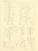  no thumbnail available