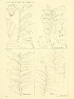  no thumbnail available