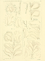  no thumbnail available