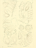  no thumbnail available