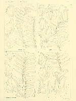  no thumbnail available